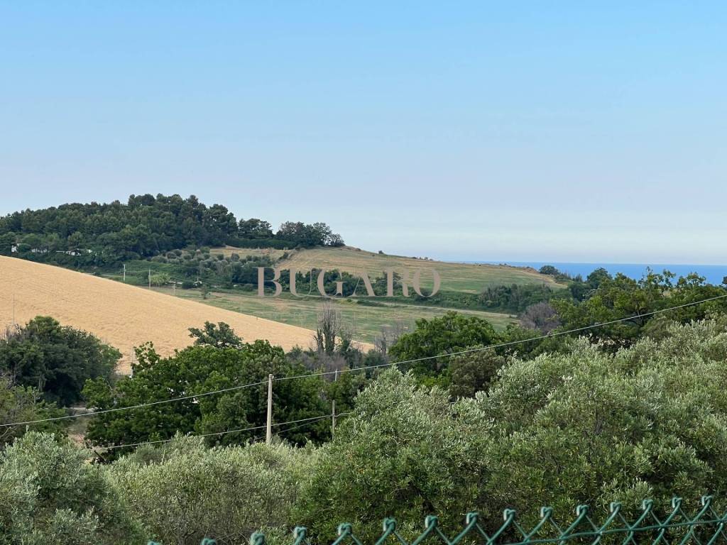 Vista