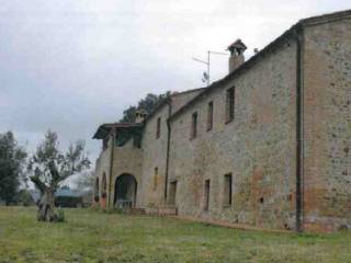 Zona
