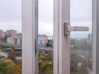 Vista