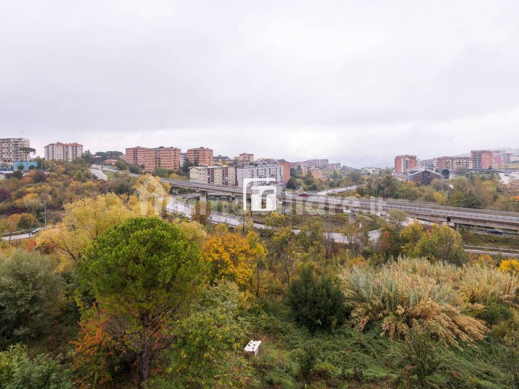 Vista