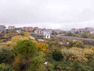 Vista