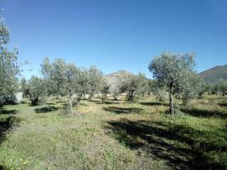 Terreno