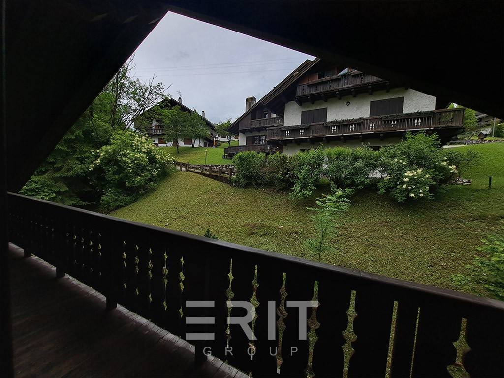 Vista