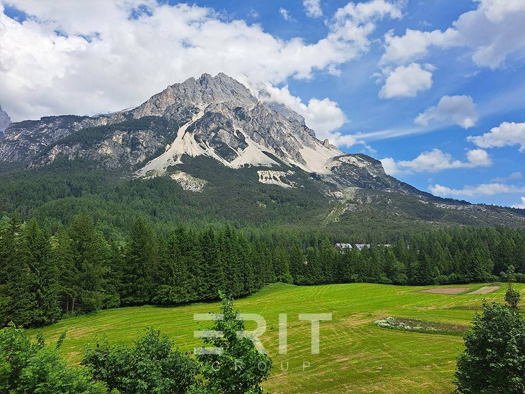 Vista
