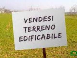 Zona