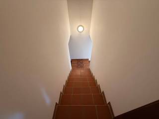 Scala
