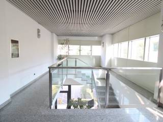 Scala