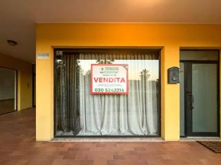Ingresso