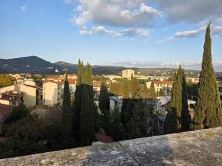 Vista