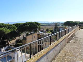 Vista