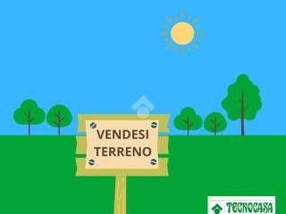 Altro