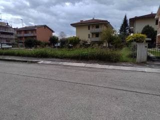 Zona