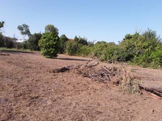 Terreno