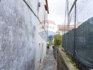 Zona