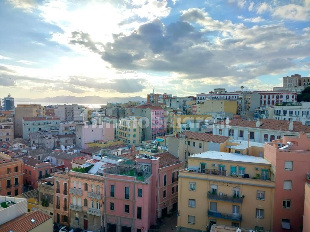 Vista