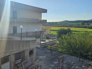 Vista