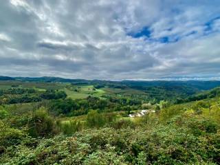 Vista