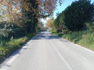 Zona