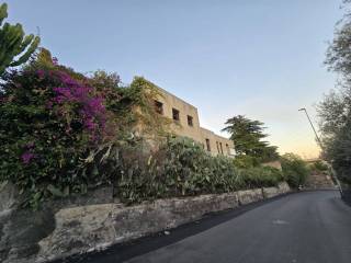Zona