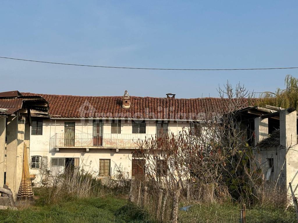 Vista