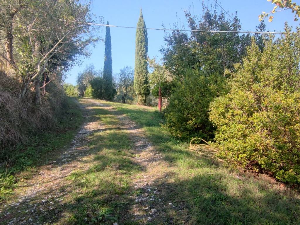 Terreno
