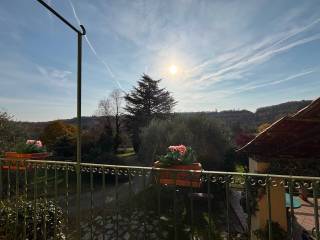 Vista