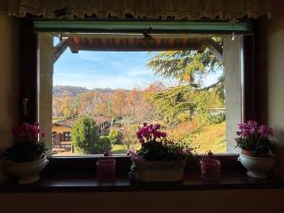 Vista
