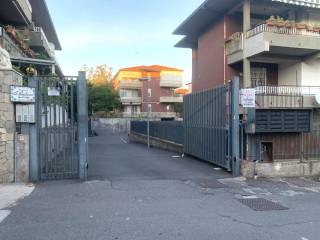 Zona