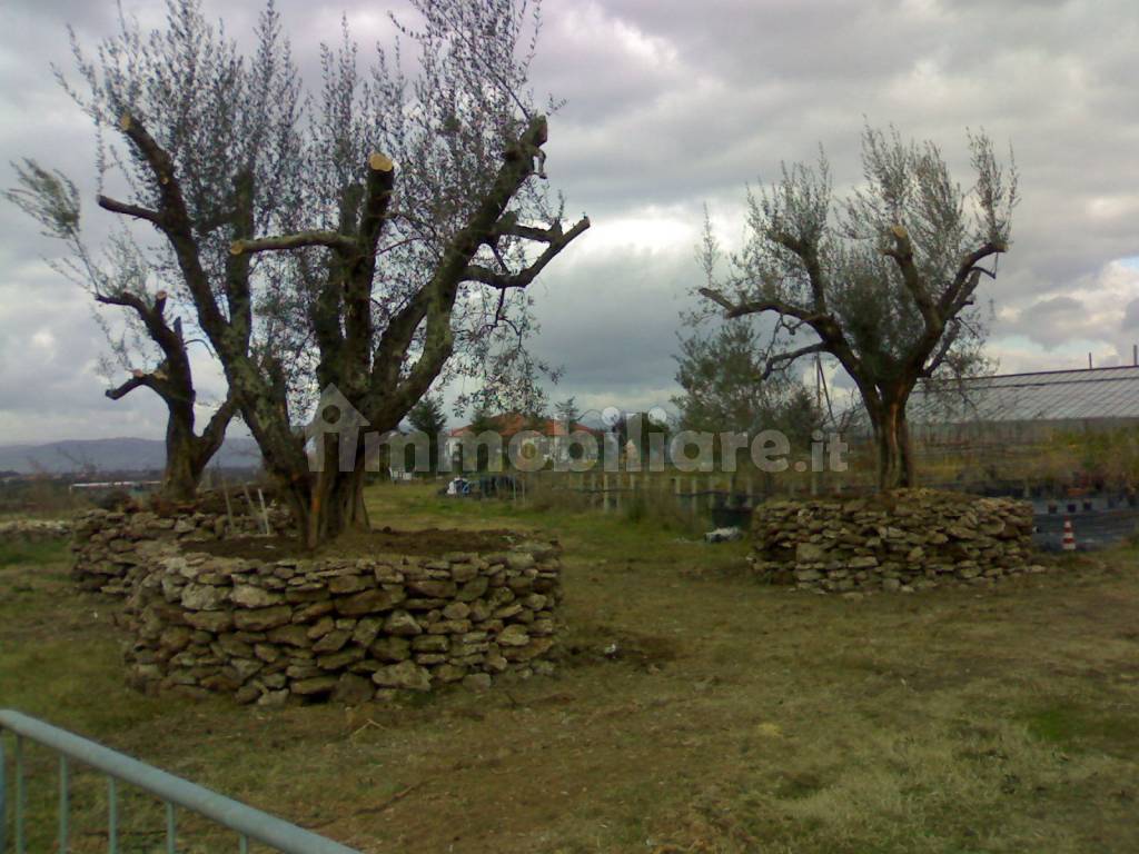 Terreno