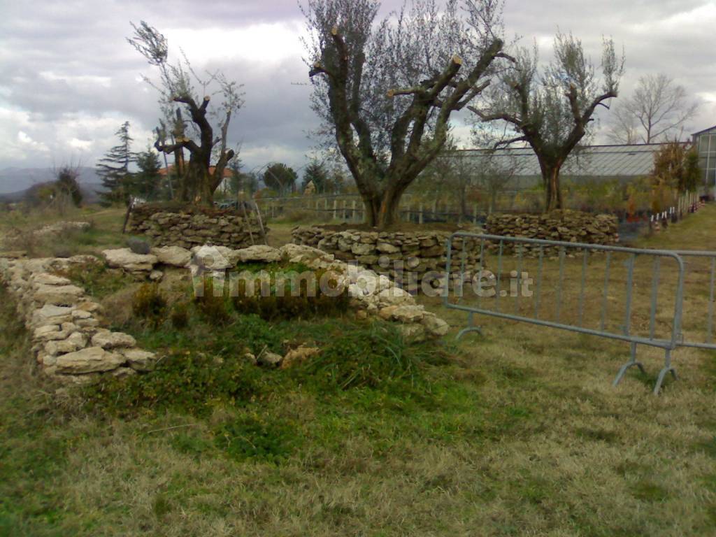 Terreno