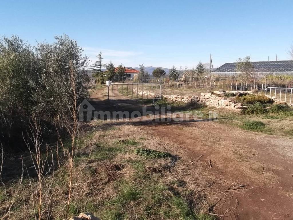 Terreno