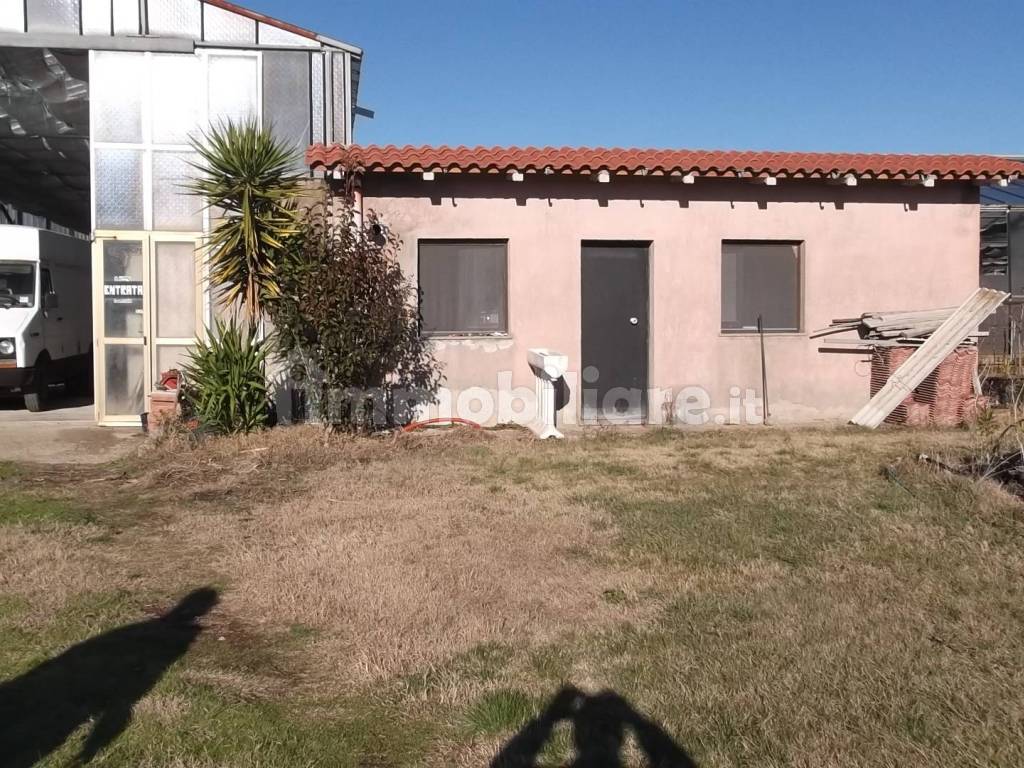 Terreno