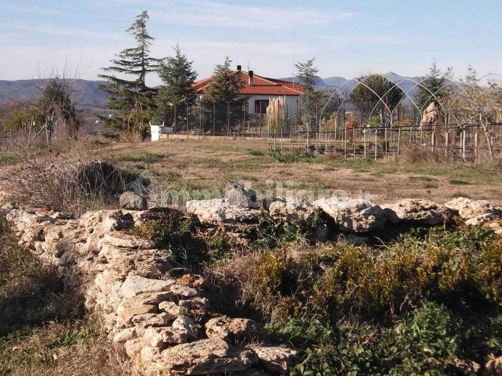 Terreno