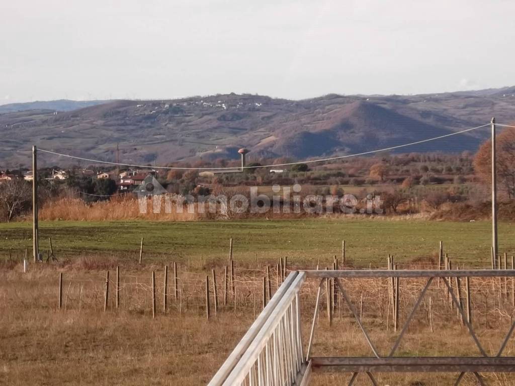 Terreno
