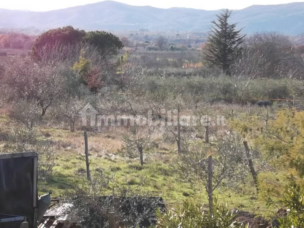 Terreno