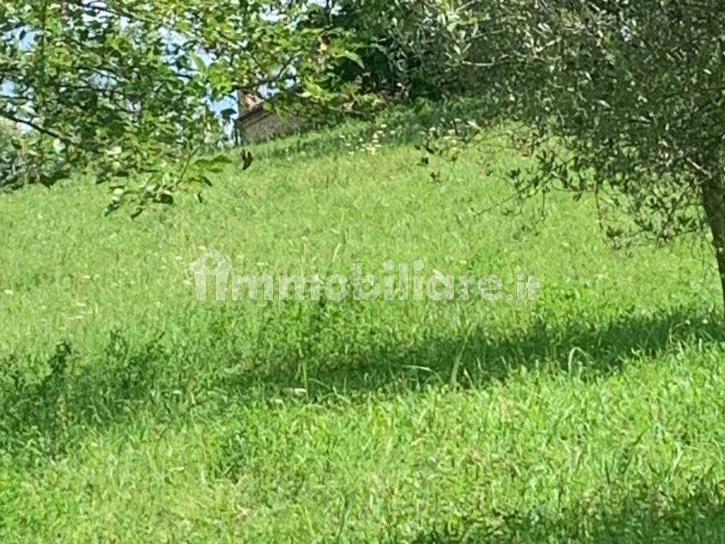 Appartamento in Sassi, foto 4 di 60