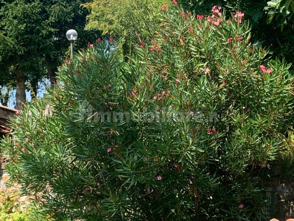 Appartamento in Sassi, foto 6 di 60