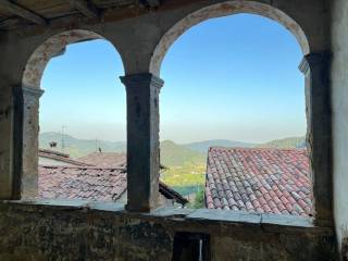 Vista