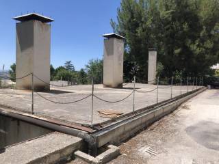 Zona