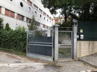 Ingresso