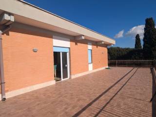 Terrazzo