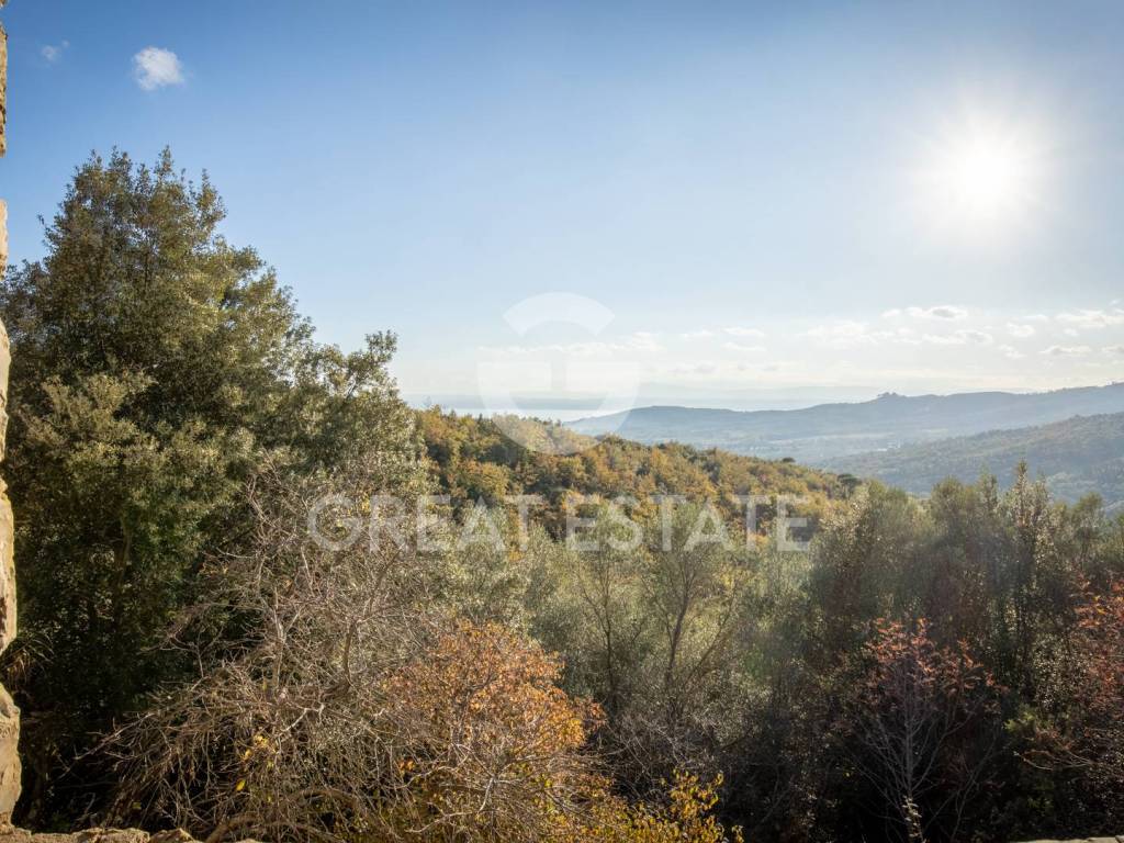 Vista