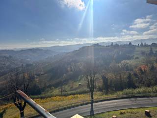 Vista