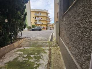 Zona
