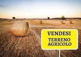 Zona