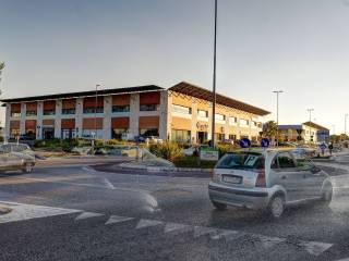 Zona