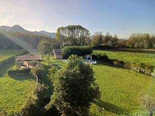 Vista