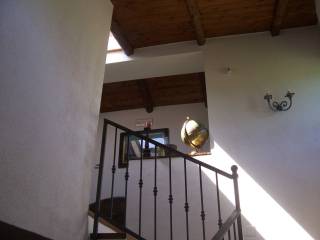 Scala