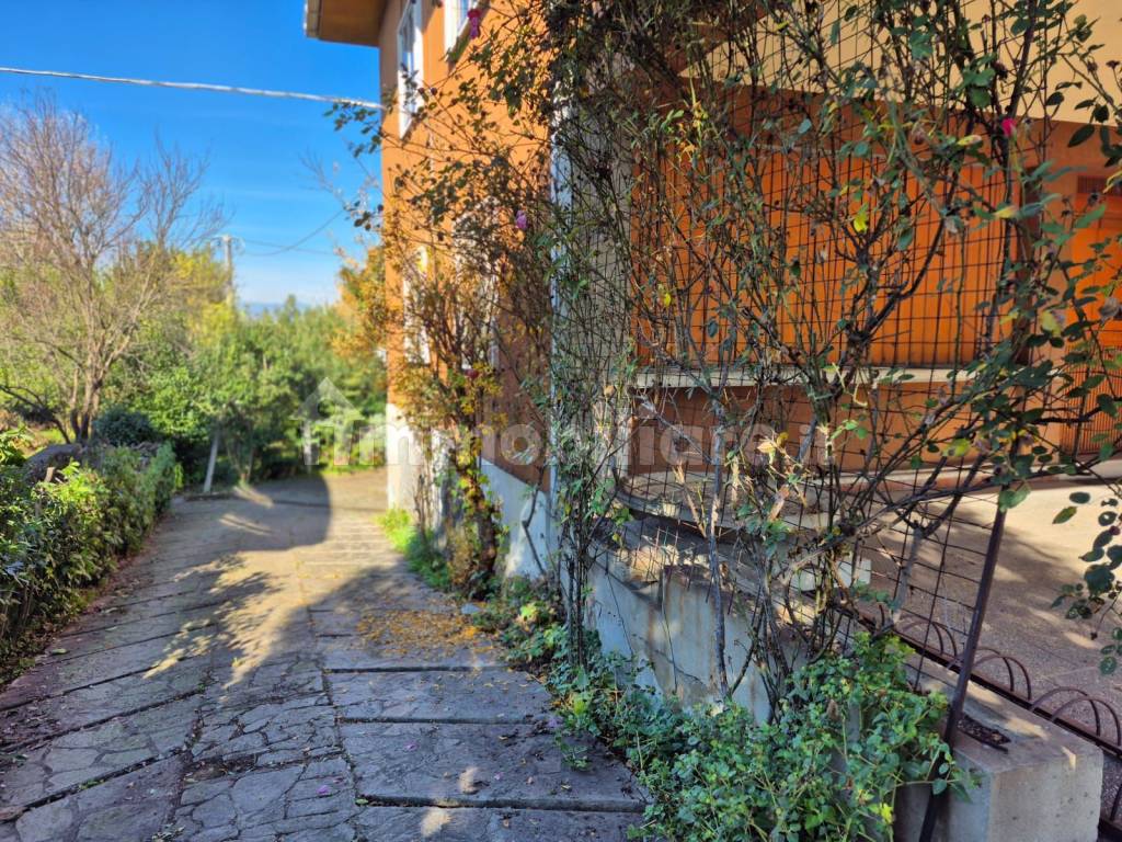 Giardino