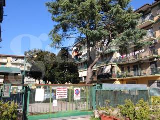 Zona